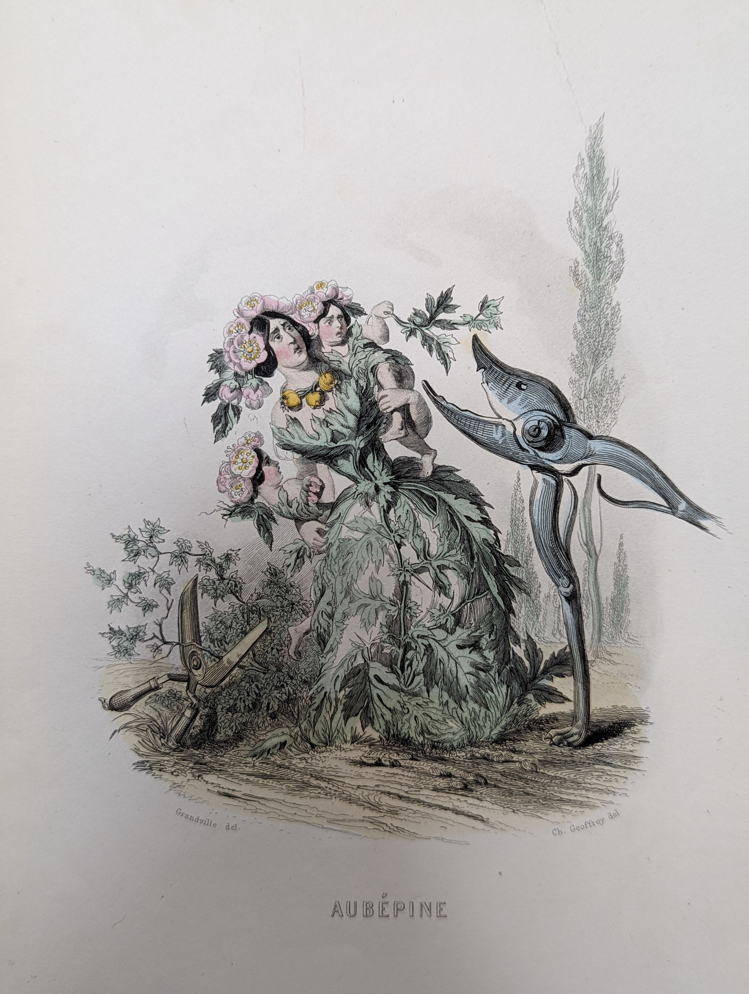 A folio of assorted antique prints